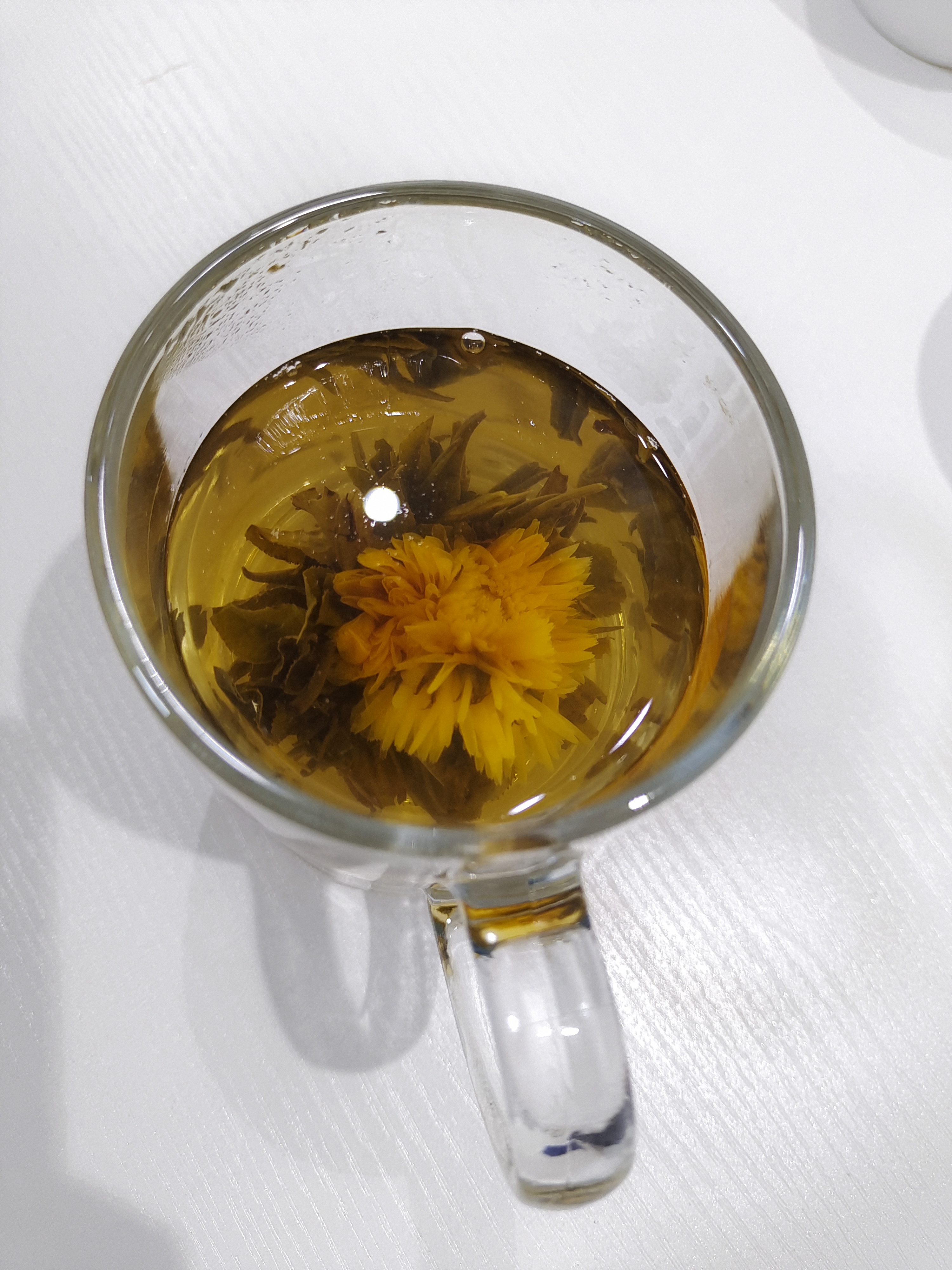 Bloom and prosper（1）