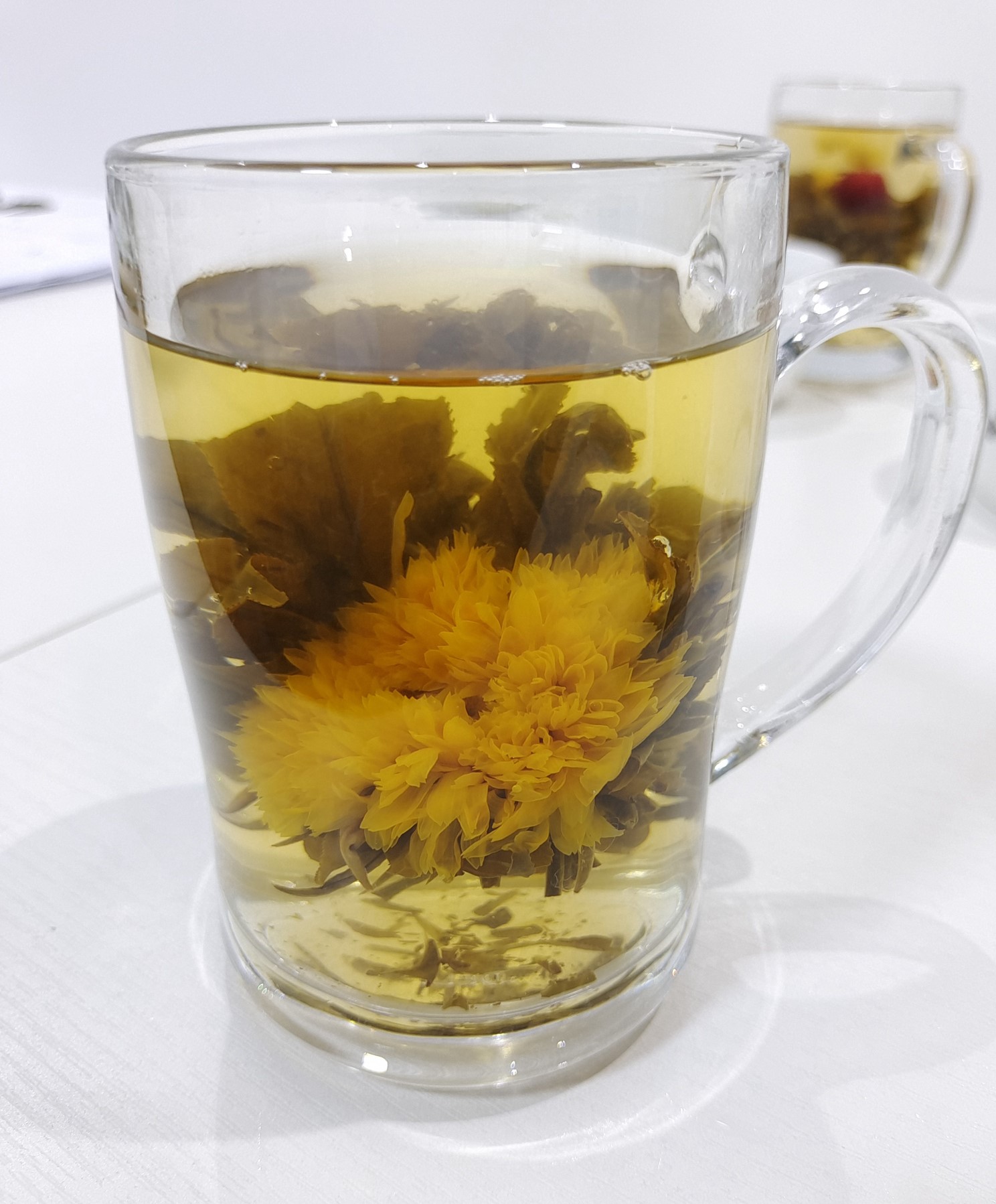 Bloom and prosper（2）