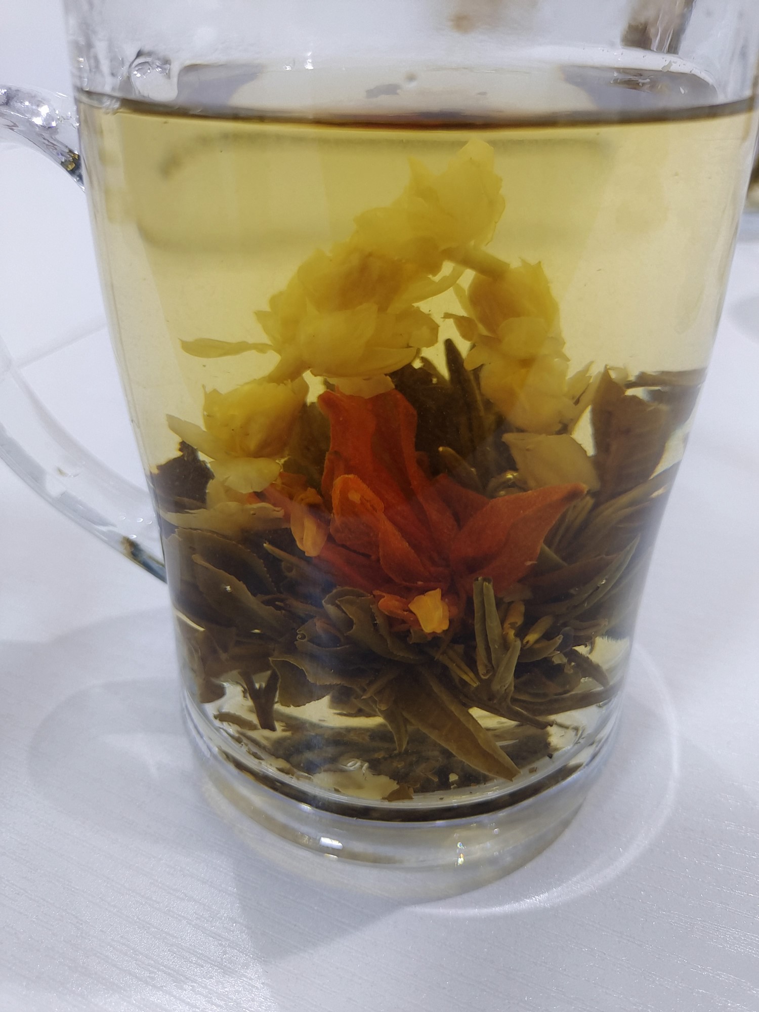 Elixir of Love （1）