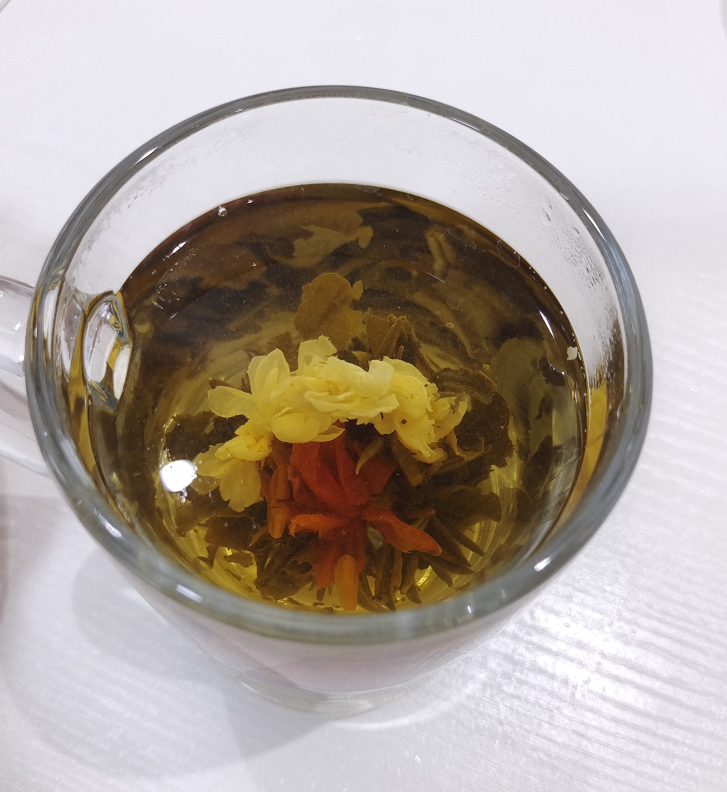 Elixir of Love （1）