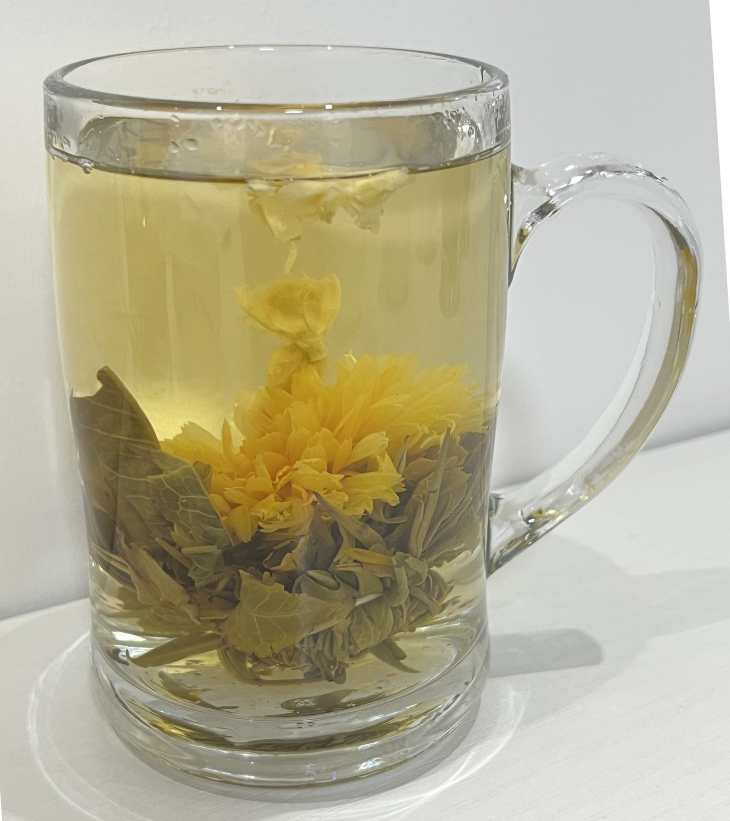 Oriental Beauty（1）