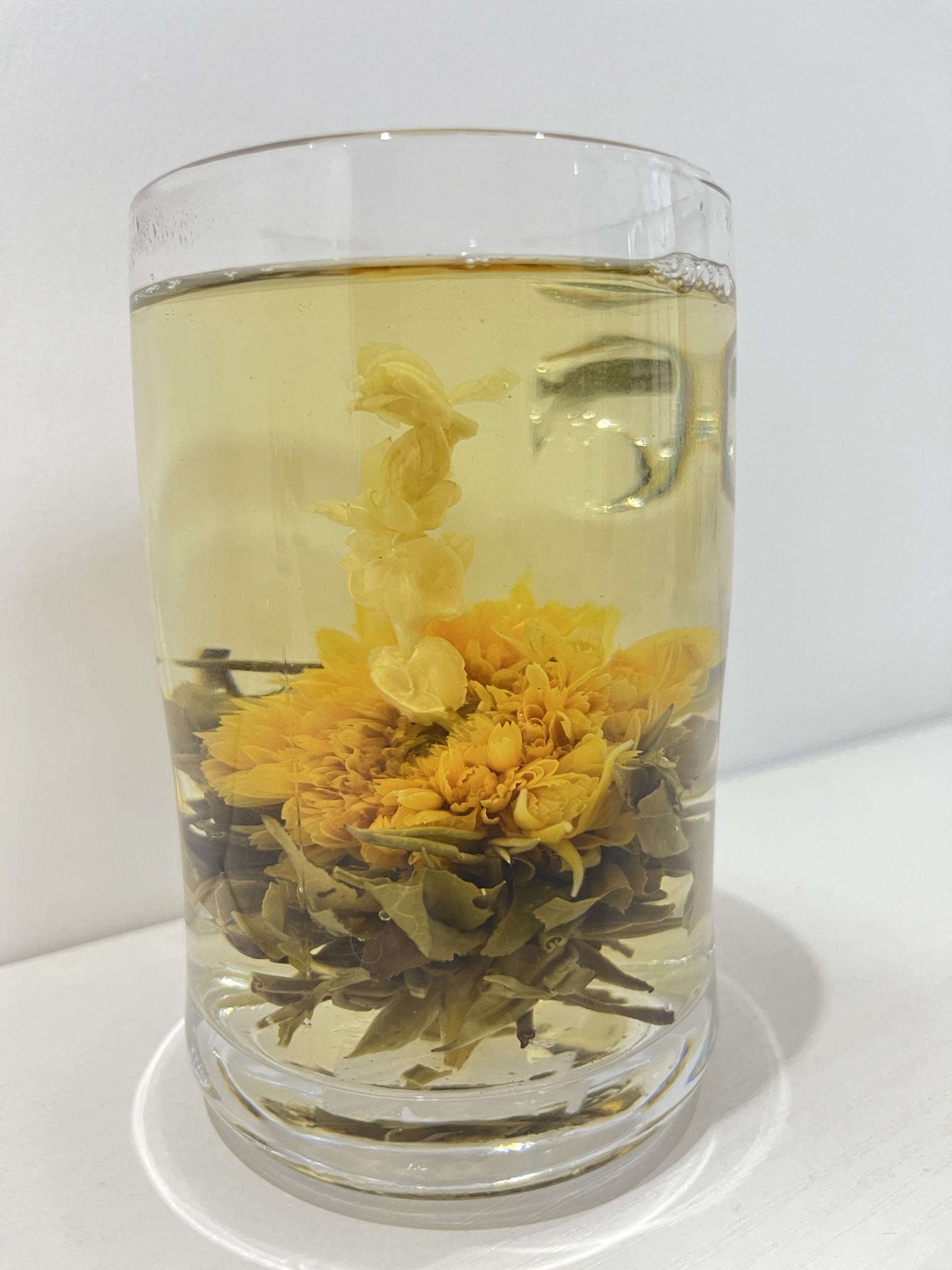 Oriental Beauty（2）