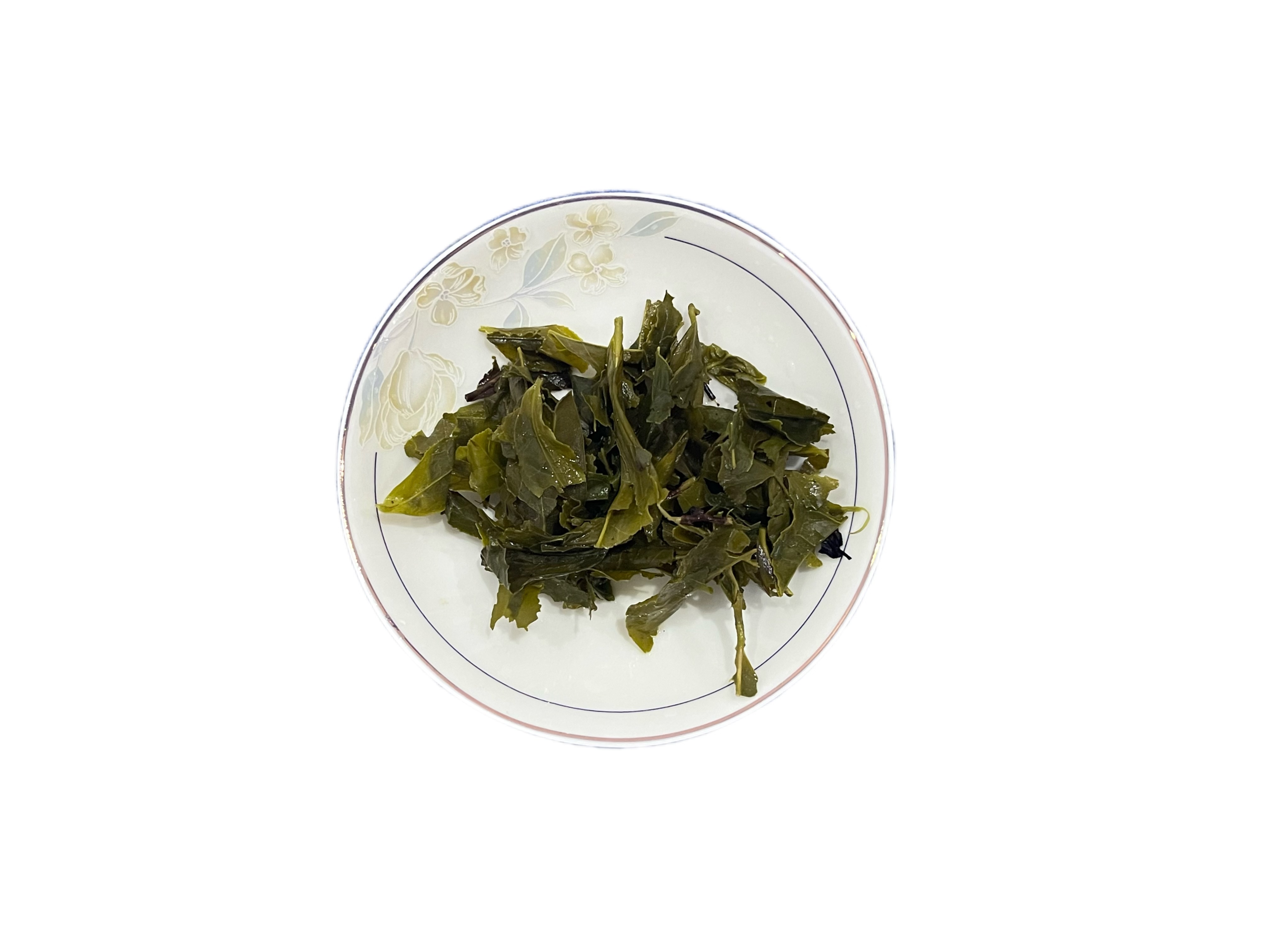 Sencha 2